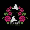 Delhi Birds