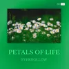 About Petals of Life Song