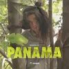 About Panama Song