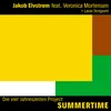 About Summertime - Die vier Jahreszeiten Project Song