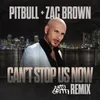 About Can't Stop Us Now Nitti Gritti Remix Song