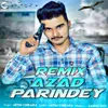 Azad Parindey Remix