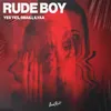 About Rude Boy Song