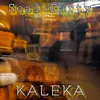 About Kaleka Song