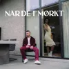 About NÅR DET MØRKT Song