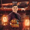 About Rei do Gado Song