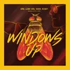 Windows Up