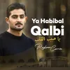 Ya Habibal Qalbi