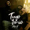 About Tuyo y Mio Song