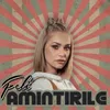 About Amintirile Song
