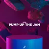 About Pump up the Jam Extended Mix Song