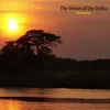 The Heart of the Delta