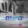 עינייך החומות