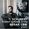 Piano Sonata D. 960 in B-Flat Major: I. Allegro moderato