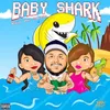 About Baby Shark Song