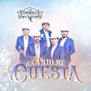 About Cuánto Me Cuesta Song