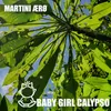 About Baby Girl Calypso Song
