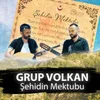 About Şehidin Mektubu Song