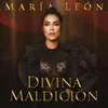 About Divina Maldición Song