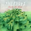 About Red Flags Song