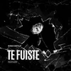 About Te Fuiste Song