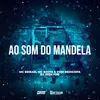 About Ao Som do Mandela Song