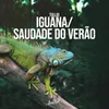 Iguana