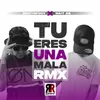 About Tú Eres una Mala Remix Song