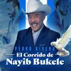 El Corrido de Nayib Bukele