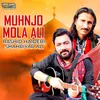 About Muhnjo Mola Ali Song