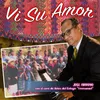 Vi Su Amor