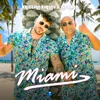 About Miami Song