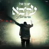 יש בך הכל - LIVE - אמפי שוני