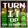 Turn It up (Edit)