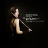 Sonata en quatre parties pour violon et violoncelle: I. Allegro