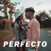 About Perfecto Song