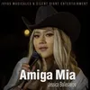 About Amiga Mia Song