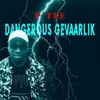 About Dangerous Gevaarlik Song