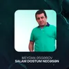 Salam Dostum Necesen