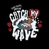 About Catch My Wave Song