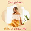 About Irresistible Me Song