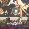 About Feel It (One More Night) Song