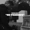 About No Promises Song