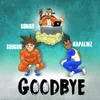 About Goodbye Song