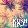 About Kush Up Song