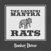 Rats (Radio Edit)