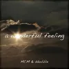 About A Wonderful Feeling Song