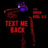 About Text Me Back Song