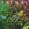 About Animal Song