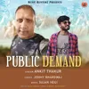 About Public Demand Song